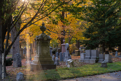 Autumn Day in Boston at Forest Hills Cemetery in Jamaica Plain photo