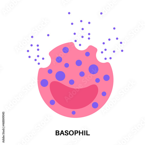 Basophil anatomical icon