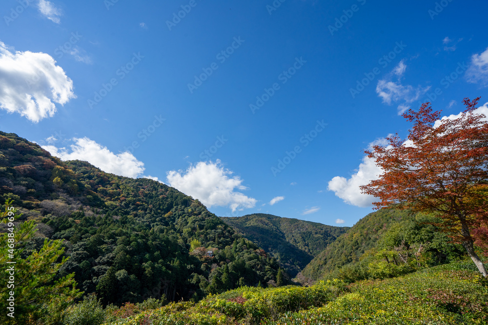 Obraz premium 京都嵐山の空