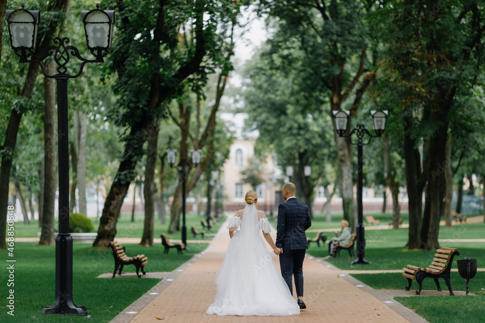 Newlyweds walk along the trees alley in the park. Wedding day in summer. Newlyweds walk along the trees alley in the park. Wedding day in summer.