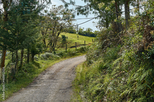 Nature lanscape photo