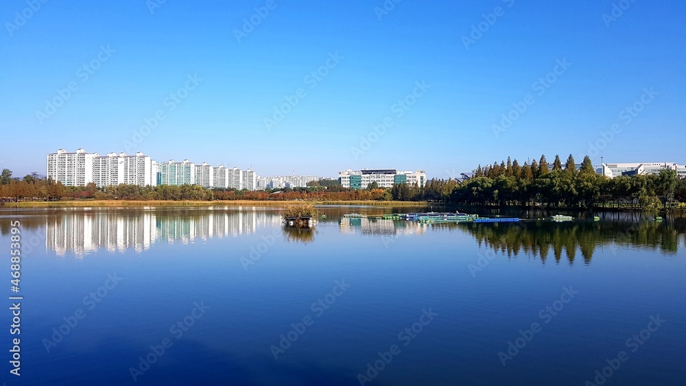 Obraz premium reflections in the water