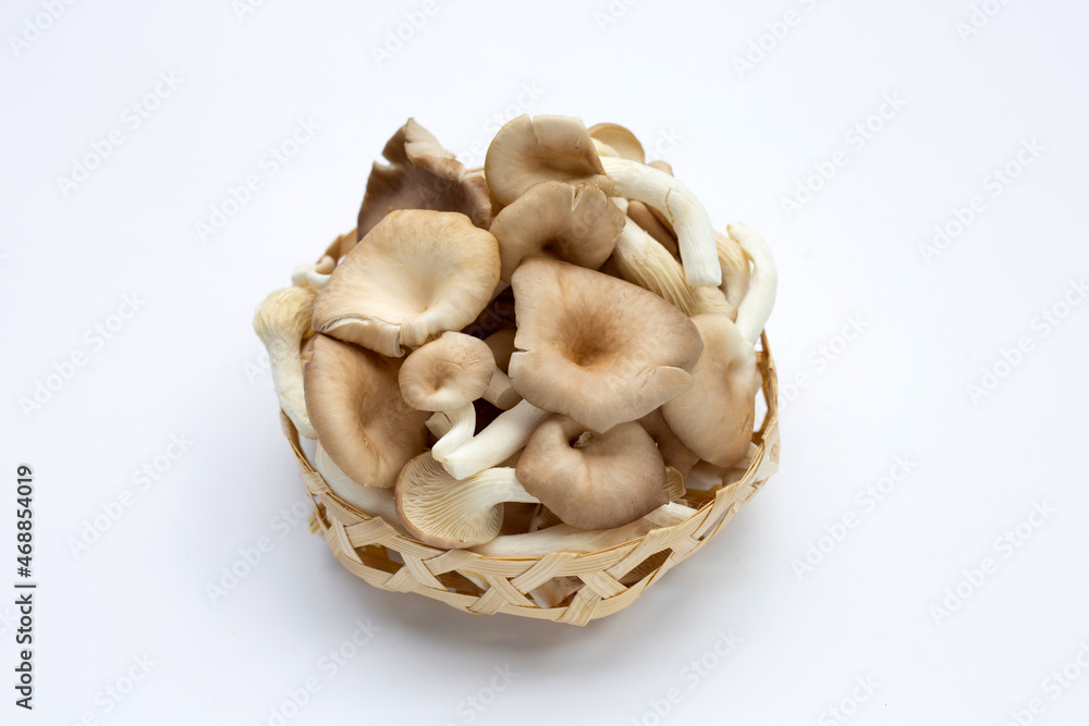 Fresh oyster mushroom in bamboo basket on white background. Fresh oyster mushroom in bamboo basket on white background.