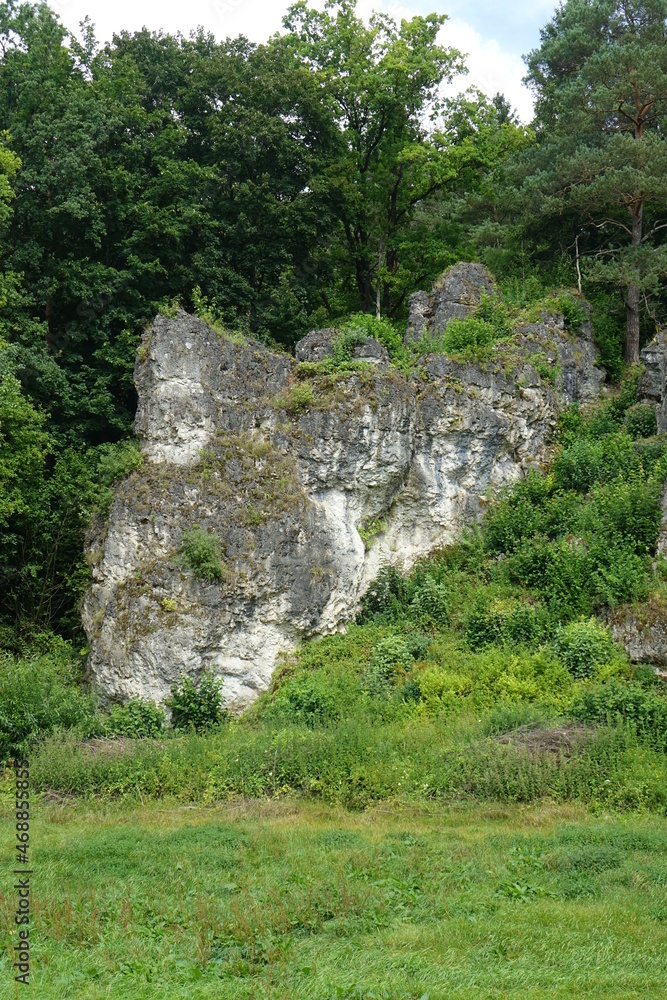Rock wall with trees in the Franconian summer landscape around Aufseß, city with the most breweries per capita worldwide, Aufseß, Upper Franconia, Bavaria, Germany
Rock wall with trees in the Franconian summer landscape around Aufseß, city with the most breweries per capita worldwide, Aufseß, Upper Franconia, Bavaria, Germany