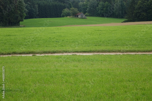 Fields and wooden barn in the Franconian summer landscape around Aufseß, city with the most breweries per capita worldwide, Aufseß, Upper Franconia, Bavaria, Germany 