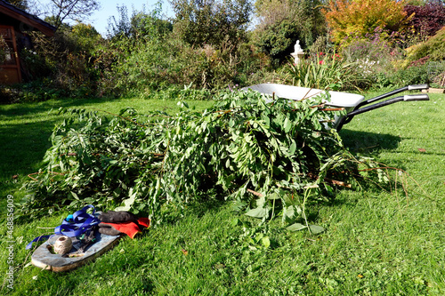 Strauch- und Baumschnitt im Herbst photo