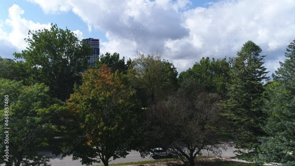 Ascending In Park Green Trees Revealing Skyscrapers City Downtown Core Business District Drone Aerial View Ascending In Park Green Trees Revealing Skyscrapers City Downtown Core Business District Drone Aerial View