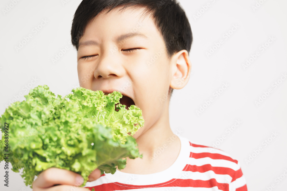 Portrait of an adorable healthy asian boy in stripe t-shirt happy eating fresh green kale leafs in his hand. Kids love veggies concept. 7-8 years old, teeth, Calcium, Vegan, Vitamins, Copy space Portrait of an adorable healthy asian boy in stripe t-shirt happy eating fresh green kale leafs in his hand. Kids love veggies concept. 7-8 years old, teeth, Calcium, Vegan, Vitamins, Copy space