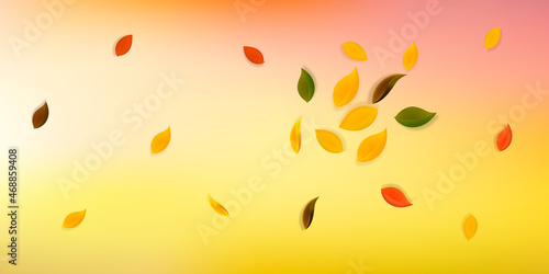 Falling autumn leaves. Red, yellow, green, brown n