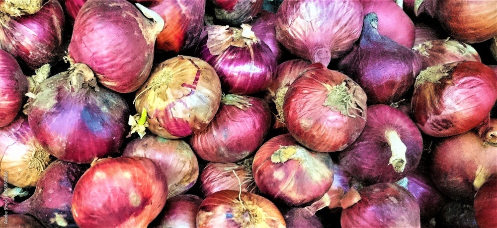Newly harvested red onions. Background of fresh purple onions. Copy space Newly harvested red onions. Background of fresh purple onions. Copy space