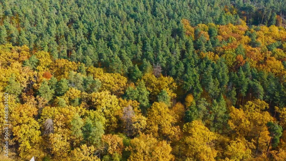 Autumn deciduous forest top view, natural background or texture. Autumn deciduous forest top view, natural background or texture.
