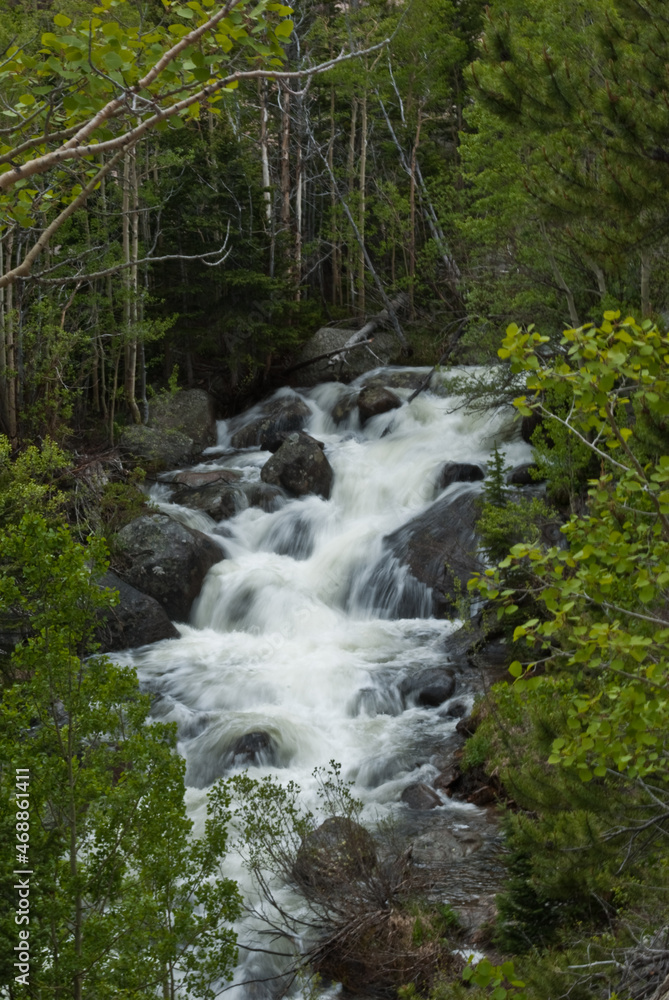 waterfall in the forest