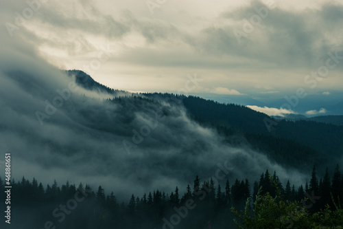 Fog Over Mountain Forest