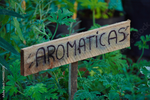 wooden sign with the word aromatics