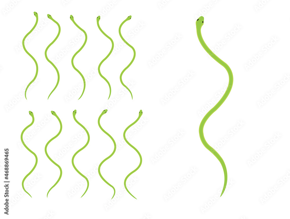 Animal Animation Rough Green Snake Cartoon Vector Animal Animation Rough Green Snake Cartoon Vector