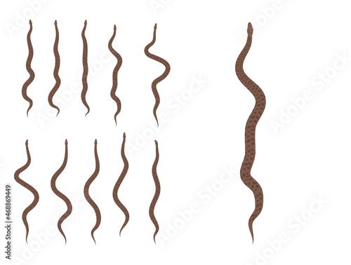 Animal Animation Children's Python Cartoon Vector