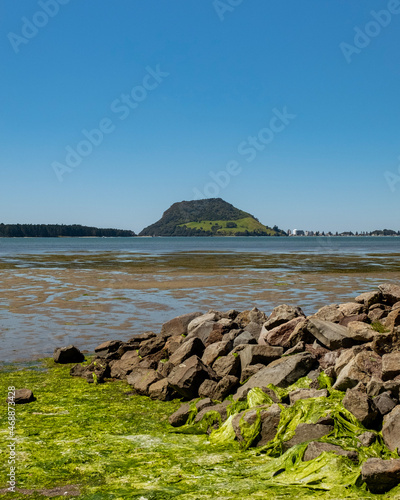 Rocks and Mount Maunganui