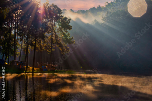 Tourism and tent under the view pine forest landscape near water outdoor in morning and sunset sky at Pang-ung  pine forest park   Mae Hong Son  Thailand. Concept Travel.