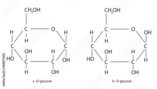 alpha-D-glucose and beta-D-glucose photo