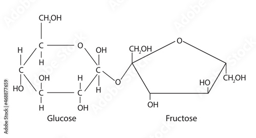 Chemical formula of Sucrose (Molecular structure of sucrose)