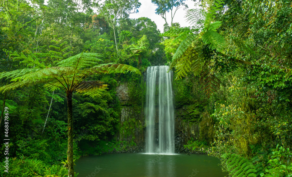Millaa Millaa Falls, Atherton Tablelands Millaa Millaa Falls, Atherton Tablelands