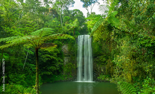 Millaa Millaa Falls  Atherton Tablelands