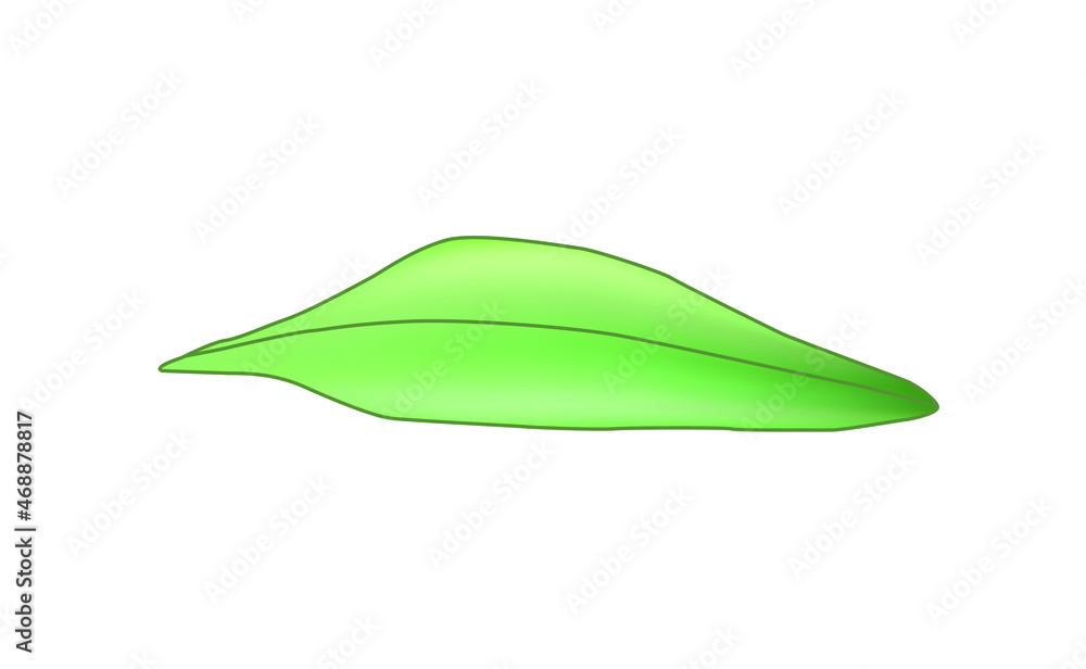leaf clover. Green vector engraving illustration leaf clover. Green vector engraving illustration