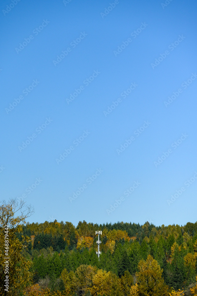 Light colored mobile phone tower with antennas on a hillside with evergreen trees and fall color deciduous trees, and clear blue sky
Light colored mobile phone tower with antennas on a hillside with evergreen trees and fall color deciduous trees, and clear blue sky