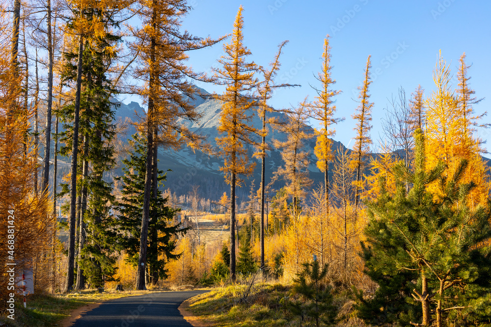 Slovakia. Beautiful autumn landscape of High Tatras trekking to Lomnicky Peak (Lomnicky stit ) and Kezmarsky Peak, Slovakia