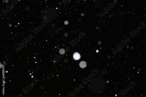 moon and stars