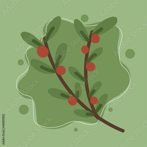 branch with berries
