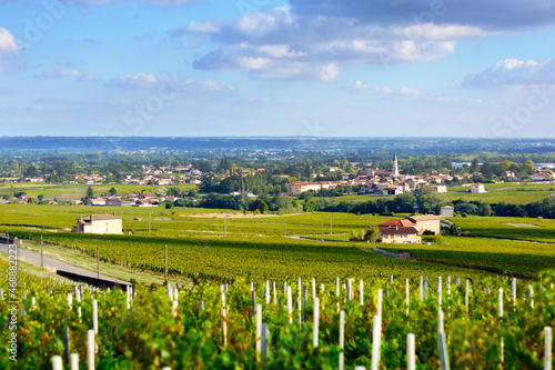 Romaneche village and vineyards  Beaujolais  France