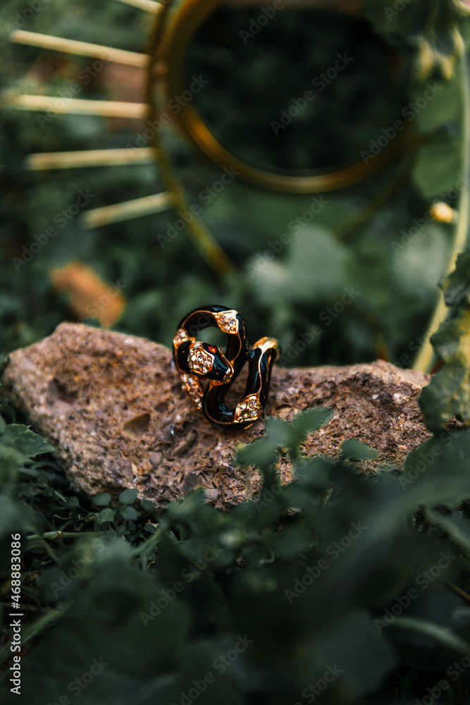 Obraz premium ring