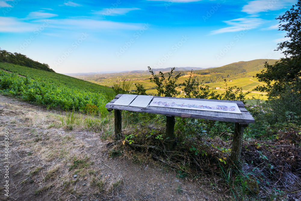 Sur les sentiers du Mont Brouilly, Beaujolais Sur les sentiers du Mont Brouilly, Beaujolais