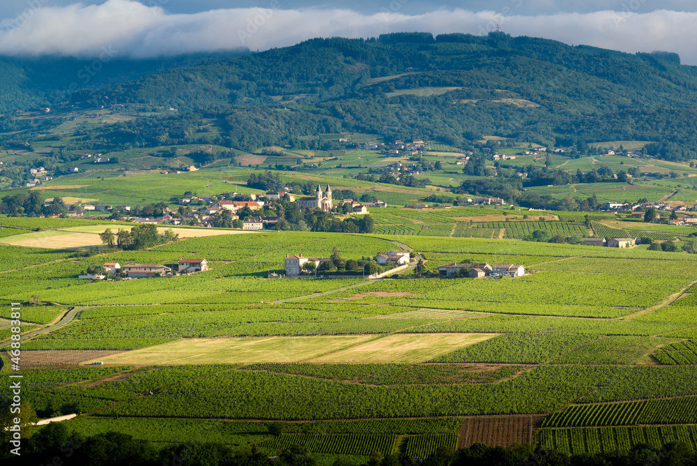 Le village de Régnié-Durette et ses vignes avoisinantes, Beaujolais, France