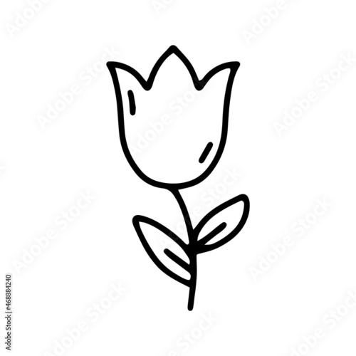 Linear vector illustration with a tulip in cartoon style. Botanical illustration