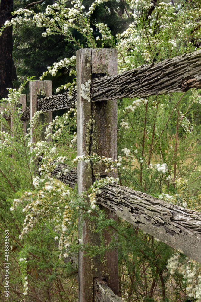 old wooden railing fence
old wooden railing fence