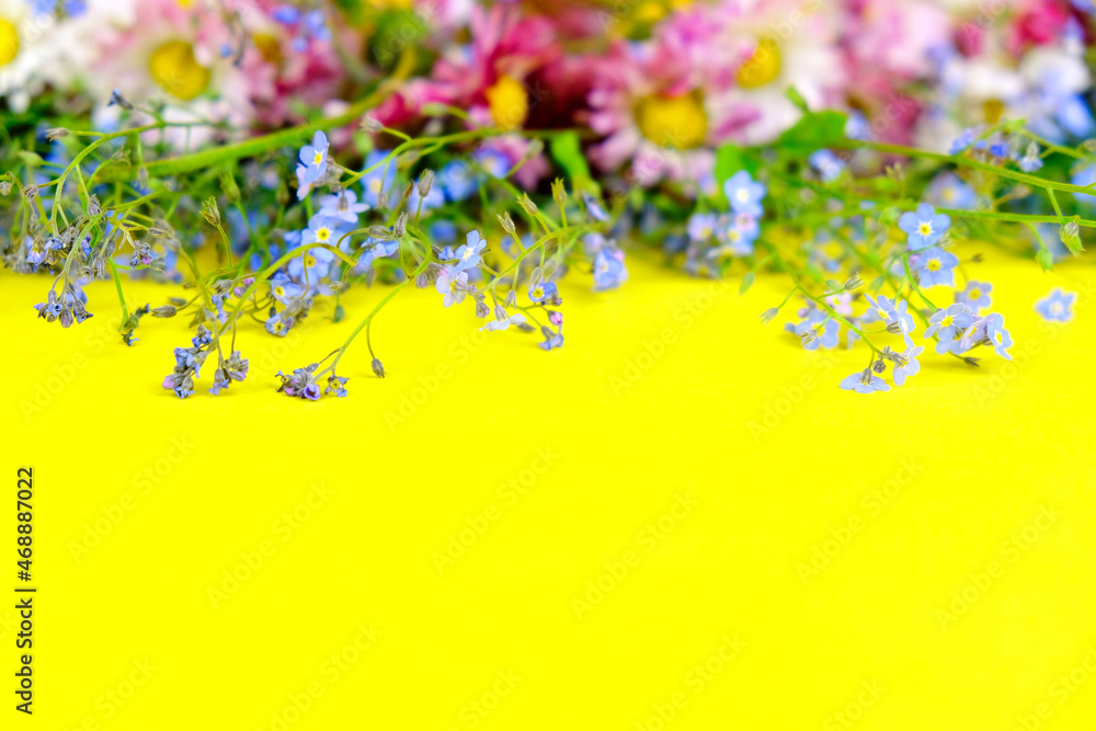 Flowers on a yellow background. Wildflowers natural fresh flowers isolated on bright yellow background.