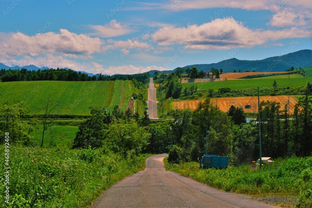 道 Stock Photo Adobe Stock