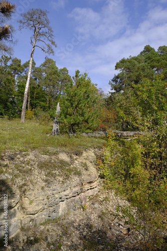 Landschaft im NSG Trockengebiete bei Machtilshausen,  Landkreis Bad Kissingen, Unterfranken, Franken, Bayern, Deutschland photo