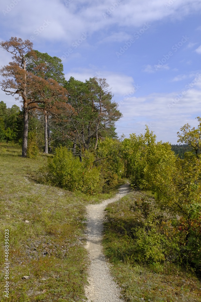 Landschaft im NSG Trockengebiete bei Machtilshausen,  Landkreis Bad Kissingen, Unterfranken, Franken, Bayern, Deutschland
