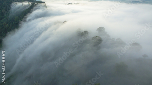 aerial view mist above the mountain in tropical rainforest and .beautiful sunrise scenery view in Phang Nga valley.