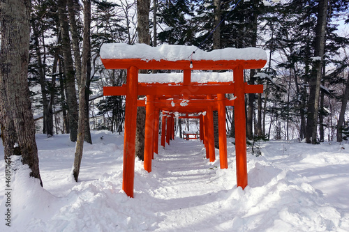 Wallpaper Mural Torii shrine gate, winter, Japan Torontodigital.ca
