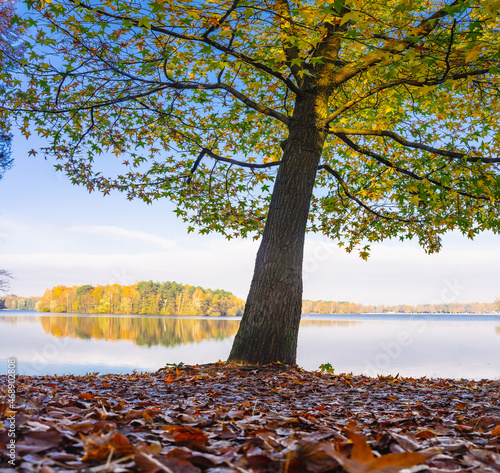 An autumn walk in the local recreation area Sechs Seenplatte Duisburg, North Rhine-Westphalia