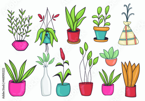 Set Of Colorful Hand drawn Potted Plant Illustration