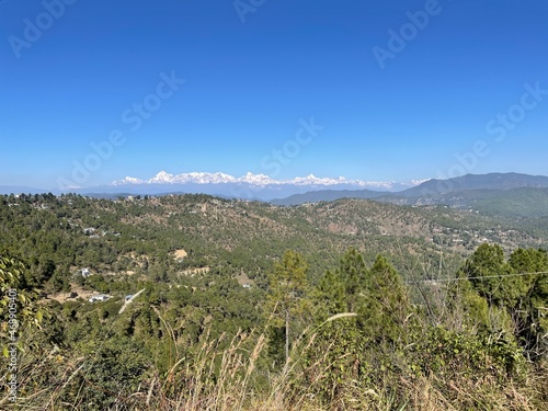 Mountains with green forest and snow