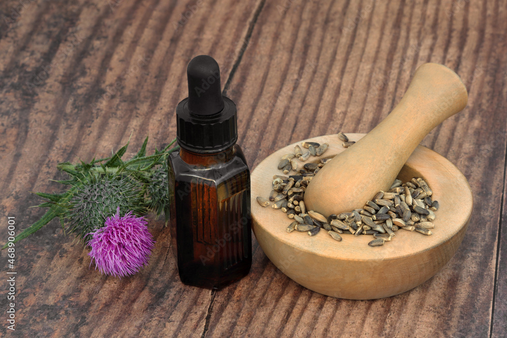Milk thistle herb oil with seeds and plant used in herbal medicine