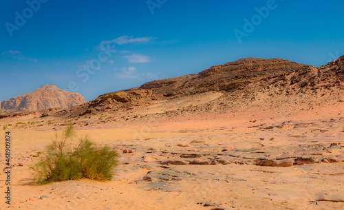 Red Canyon in the Senai Peninsula Desert