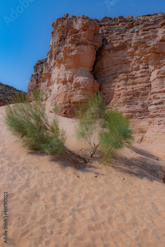 Red Canyon in the Senai Peninsula Desert