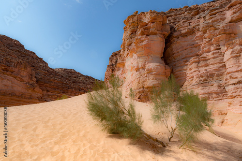Red Canyon in the Senai Peninsula Desert